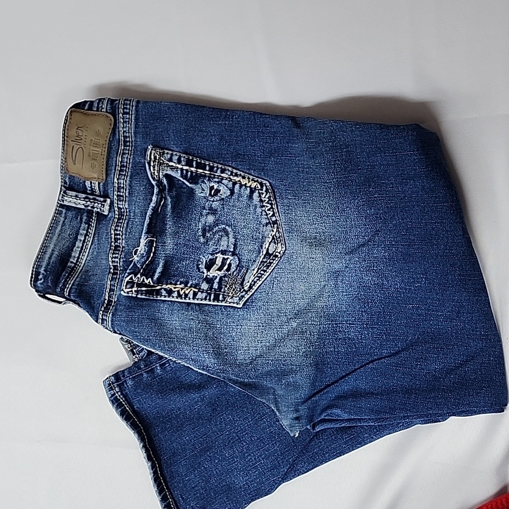 Silver Capris - image 1